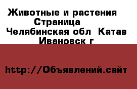  Животные и растения - Страница 15 . Челябинская обл.,Катав-Ивановск г.